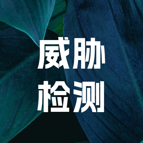 威胁监测与主动响应服务