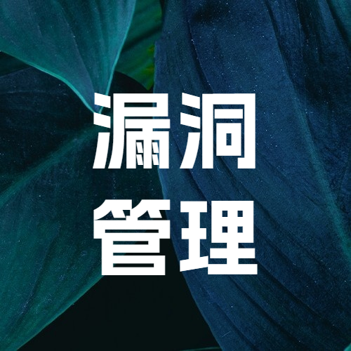 漏洞管理服务
