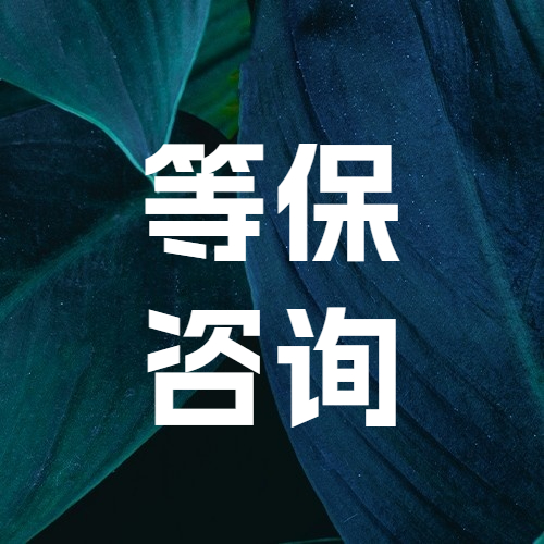 等保咨询服务