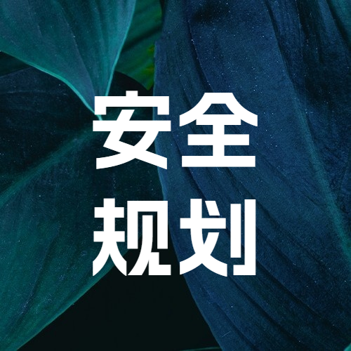 安全规划咨询