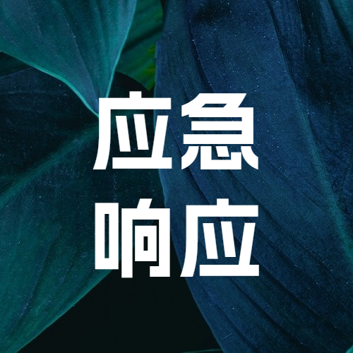 应急响应服务